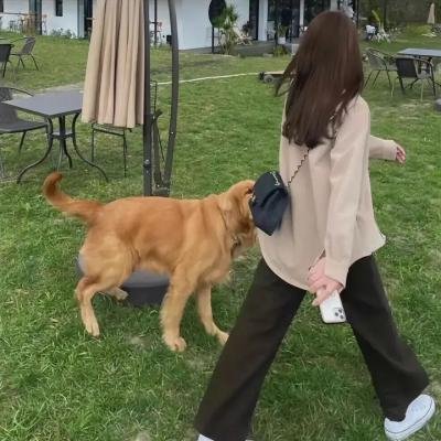 请吃红小豆吧！第二季